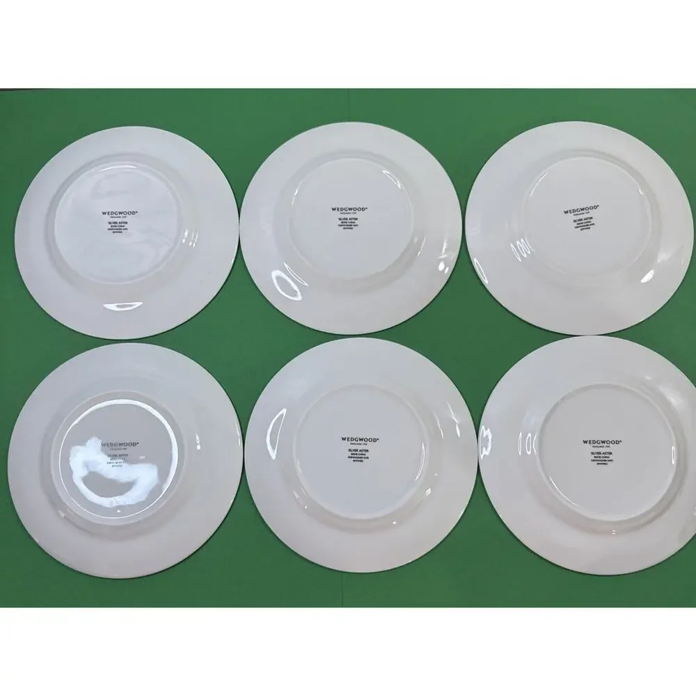 6 Wedgwood Silver Aster Bread & Butter Plates - Fine Bone China - Platinum Trim